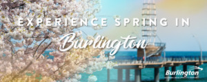 spring in burlington